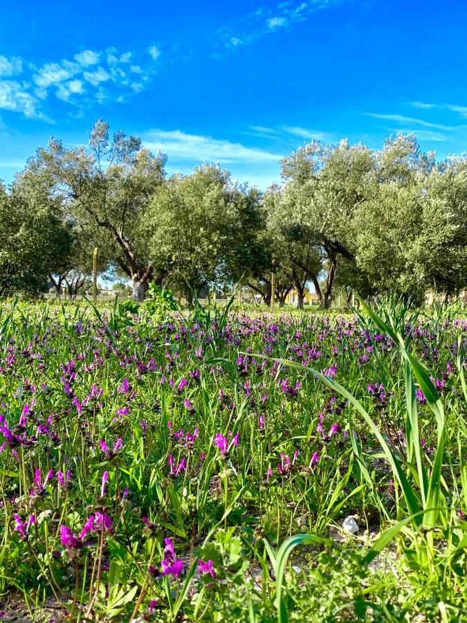 Alacati Barbarossa Hotel Çeşme Exteriér fotografie