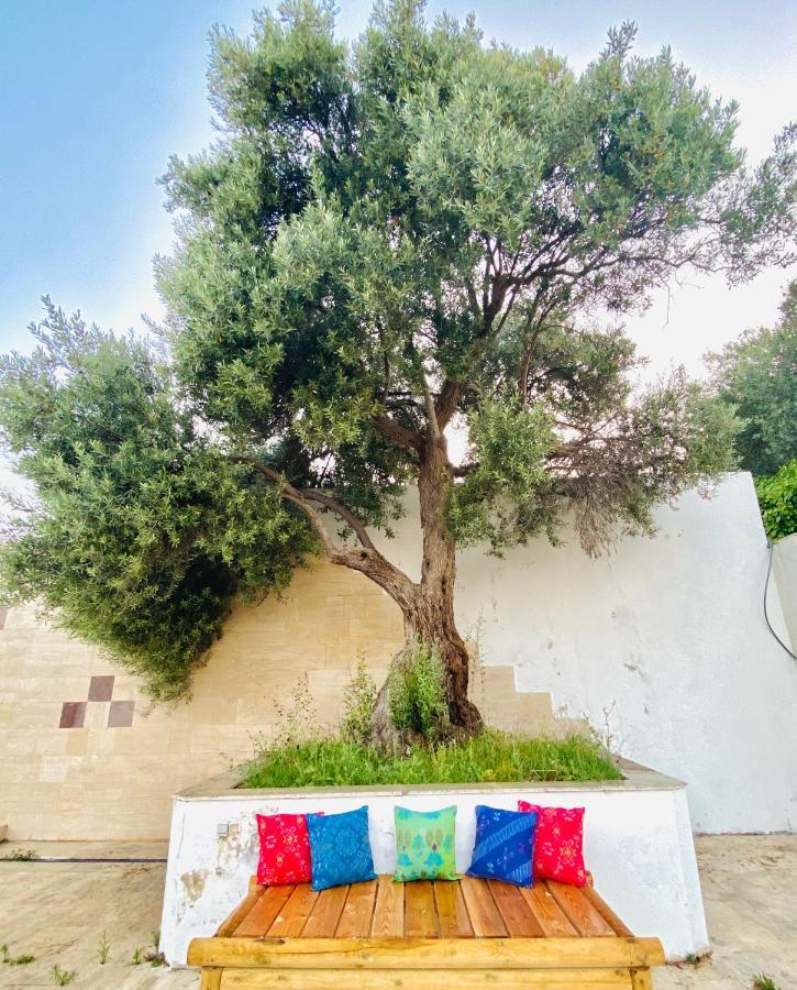 Alacati Barbarossa Hotel Çeşme Exteriér fotografie